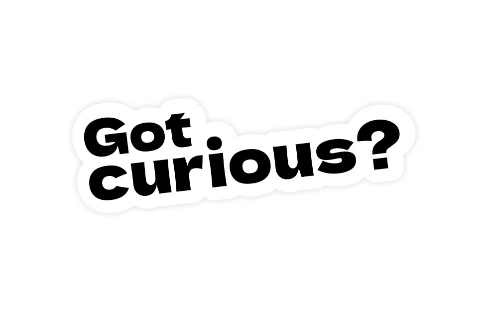 gotcurious